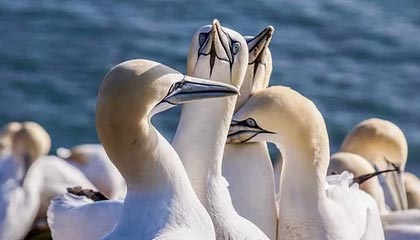 Kaiyun APP-【平局不再平凡】加时赛新规定让比赛悬念升级，加时赛打平